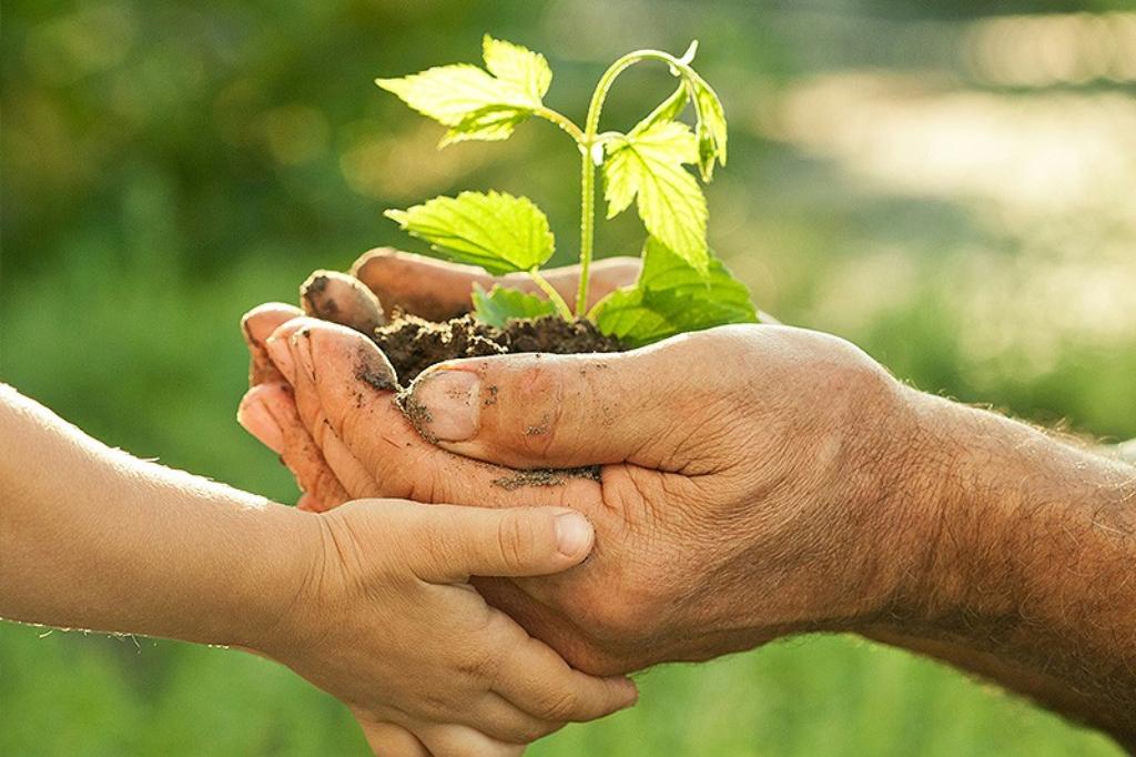 Biobased products