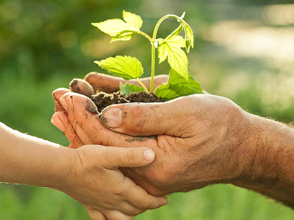 Biobasierte Produkte - für mehr Nachhaltigkeit