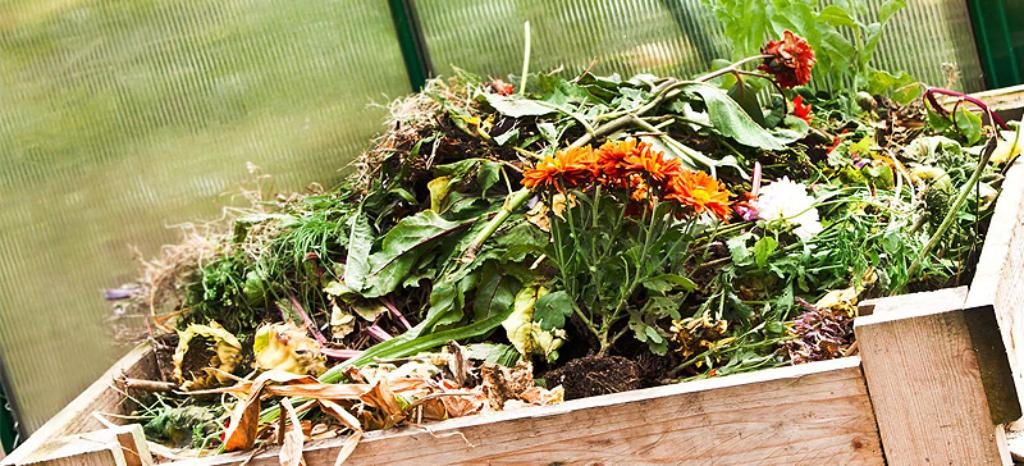 Home compostable packaging made of bioplastic: we guide you through the certification process according to NF T51-800 | DIN CERTCO
